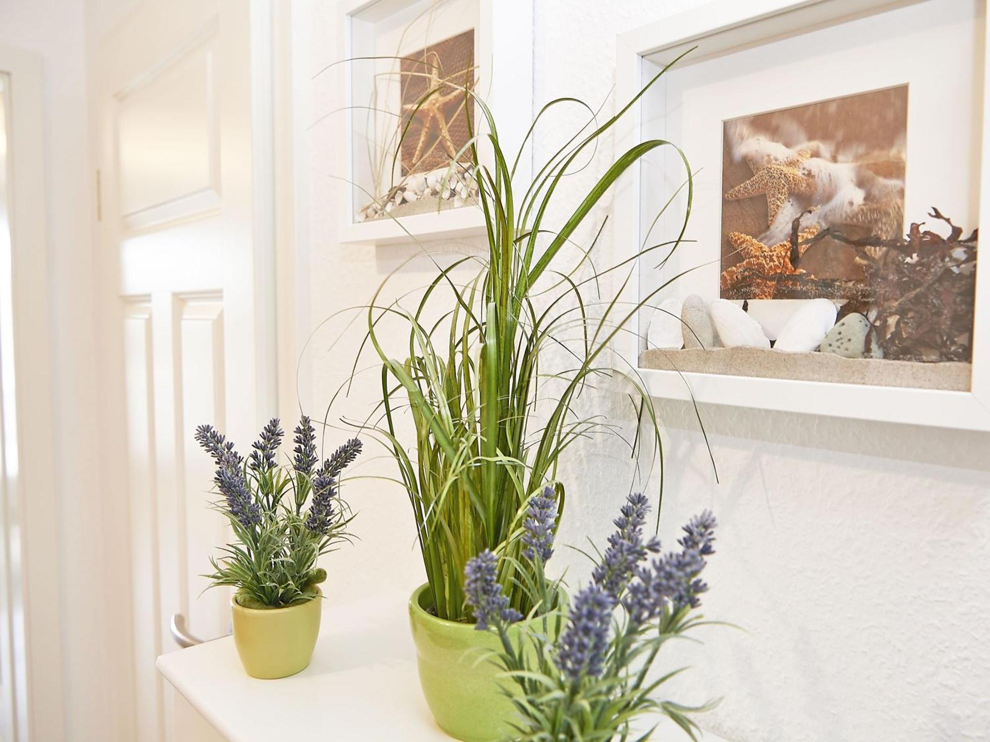 Wohnpark Stadt Hamburg - Apt. 50 Binz Kültér fotó